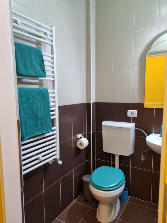 Cazare Bulevardul George Enescu Suceava – Smile Studio Suceava, baie